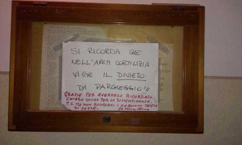 1959503_10202942986685945_1396849816_n