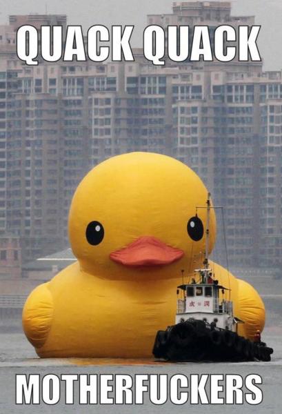 paperella-hong-kong-235579